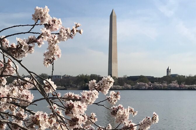 Private Washington Monuments Tour - Cancellation Policy and Refunds