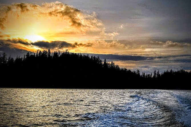 Private Water Taxi and Land Tour, Sea It All -Sitka Wildlife - Itinerary Overview