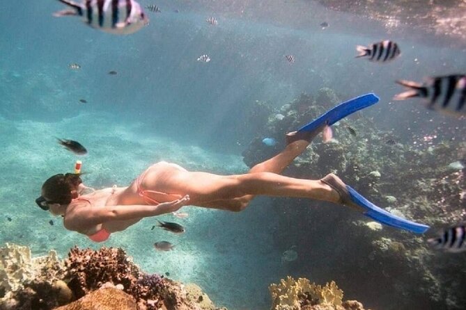 Private Waterfall Tour and Blue Lagoon Snorkeling in Padang Bai - Customer Feedback and Interaction