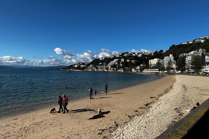 Private Wellington City Highlight Tour - Pickup Points