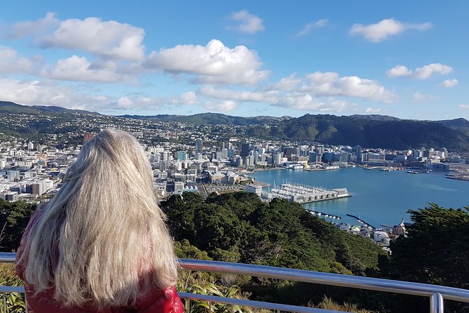 Private Wellington Full Day Sightseeing Tour - Recommendations and Intentions to Revisit