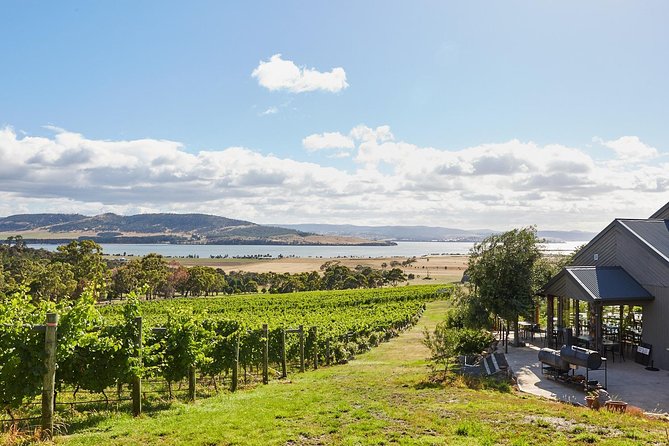 Private West Tamar Wine Tour - Visit Vineyards, Breweries, and Cellar Doors