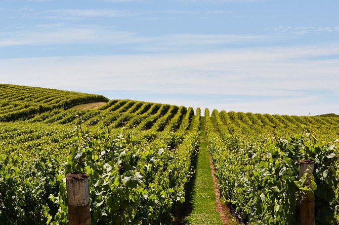 Private West Tamar Wine Tour - Common Questions