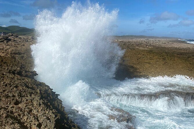 Private Westcoast Beachhop Tour. Turtle beach, grote knip & More - Practical Tips and Considerations