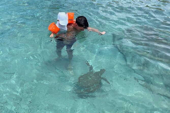 Private Westcoast Beachhop Tour. Turtle beach, grote knip & More - The Sum Up: Is It Worth It?  