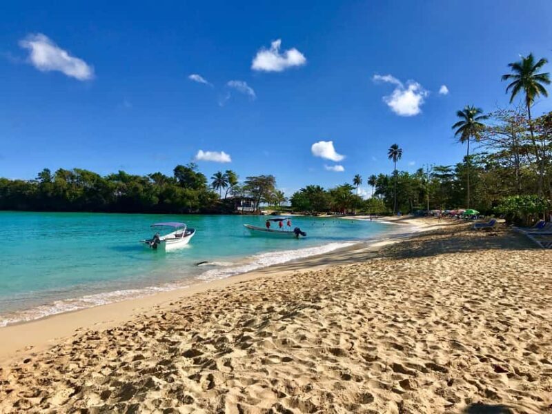 Private: Whale-Watching & Beach Escape from Punta Cana - Frequently Asked Questions