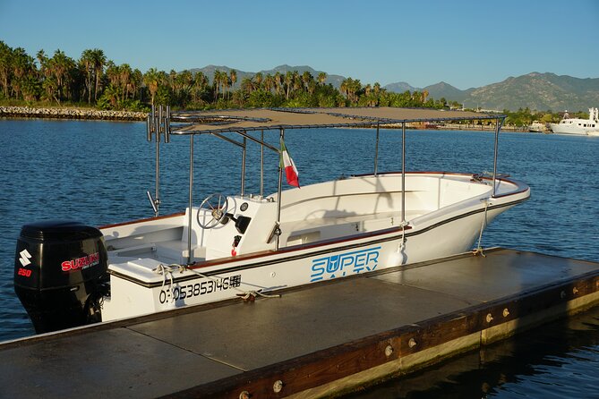 Private Whale Watching in San José Del Cabo - Private Whale Watching Tour Options
