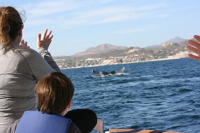 Private Whale Watching in San José Del Cabo - Cancellation Policy and Refunds