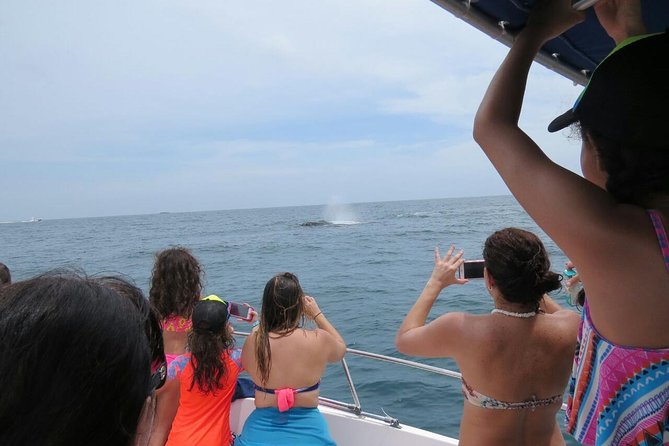 Private Whale Watching Tour at the Pearl Islands Departing From Panama City - Tour Highlights