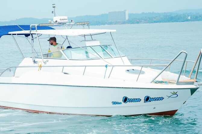 Private Whale Watching Tour by Luxury Speedboat from Mirissa - Private Whale Watching Tour by Luxury Speedboat from Mirissa