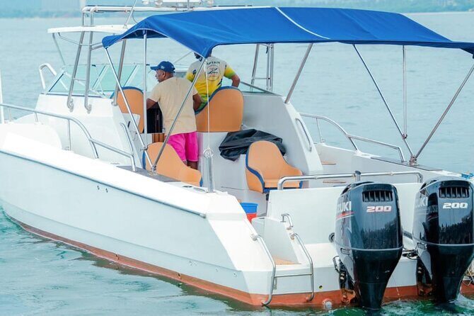 Private Whale Watching Tour by Luxury Speedboat from Mirissa - What’s Included and What’s Not