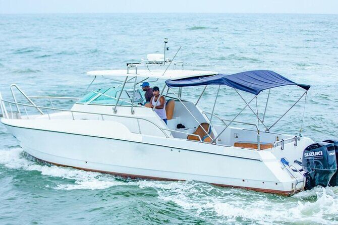 Private Whale Watching Tour by Luxury Speedboat from Mirissa - Value and Overall Experience