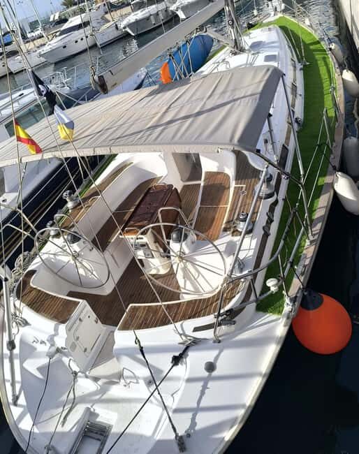 Private Whales & Dolphins Excursion: for you exclusively! - Overview of the Experience