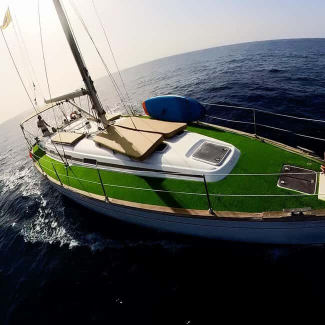 Private Whales & Dolphins Excursion: for you exclusively! - Practical Details and Tips