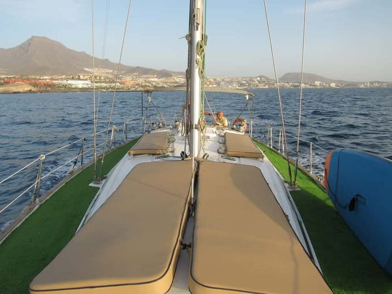 Private Whales & Dolphins Excursion: for you exclusively! - Final Thoughts