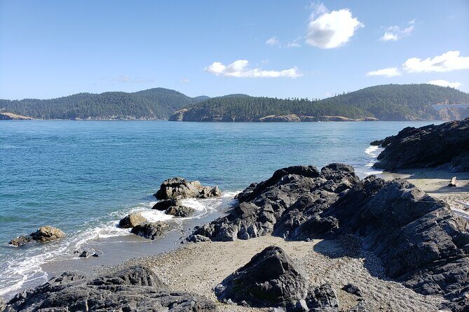 Private Whidbey Island and Deception Pass Excursion - What Makes This Tour Stand Out?