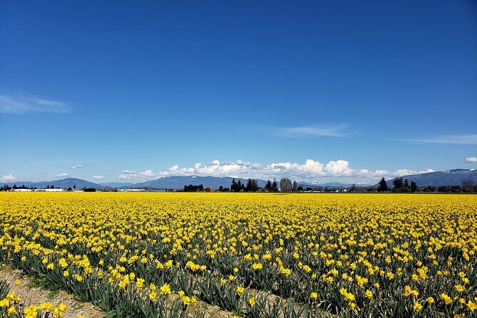 Private Whidbey Island and Deception Pass Excursion - Final Thoughts