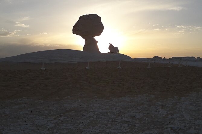 Private White and Black Desert From Cairo 2 Days 1 Night - Included Meals and Transportation