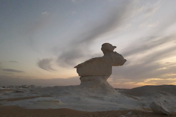 Private White and Black Desert From Cairo 2 Days 1 Night - Additional Information and Accessibility