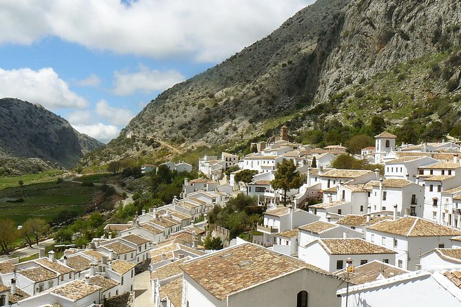 Private White Villages & Ronda Day Tour From Seville - Additional Information for Travelers