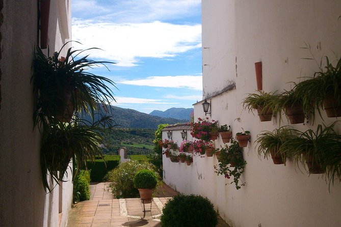 Private White Villages & Ronda Day Tour From Seville - Common Questions