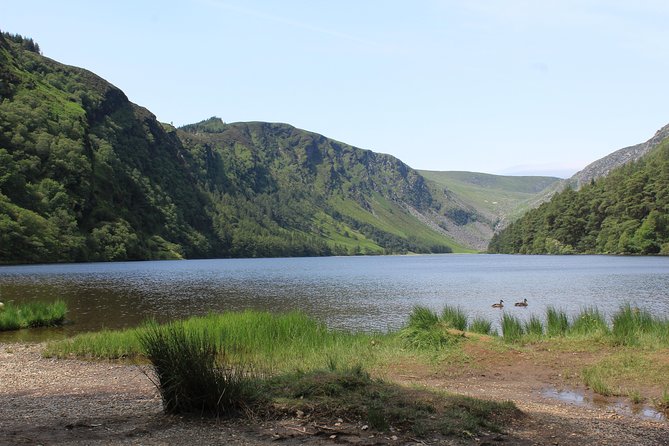 Private Wicklow Mountains Day Tour - Pickup and Cancellation Details