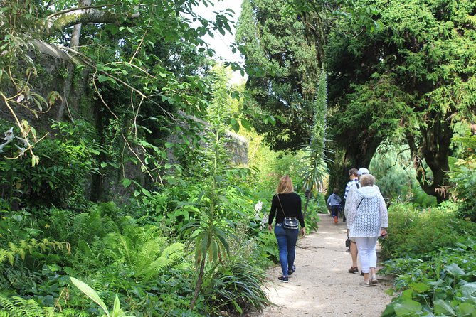 Private Wicklow Mountains Day Tour - Questions and Help Center