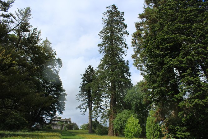 Private Wicklow Mountains Day Tour - Attractions and Sightseeing