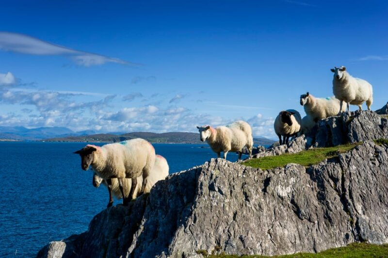 Private Wild Atlantic Day Tour from Cork - What To Expect During the Day