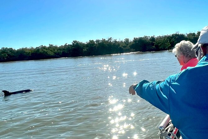 Private Wild Dolphin Boat Tour - Tour Details