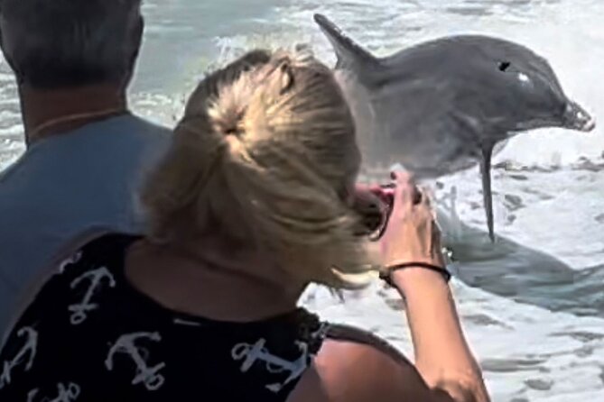 Private Wild Dolphin Boat Tour - Traveler Feedback