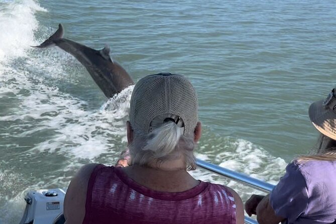 Private Wild Dolphin Boat Tour - Pricing and Additional Information