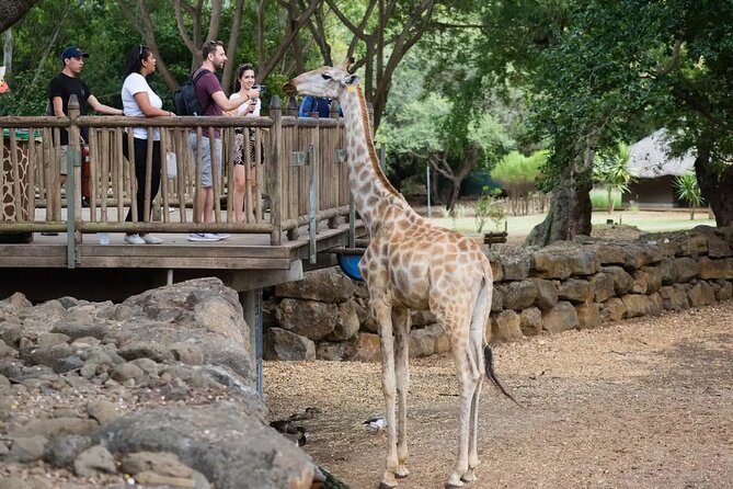 Private Wild SOUTH WEST COAST : Casela With Tulawaka & Safari - Inclusions