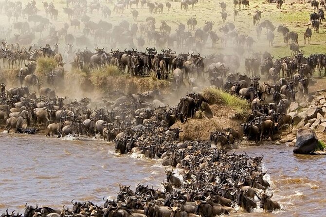 PRIVATE Wildebeest Calving Safari, Tanzania, January to March - Inclusions and Amenities