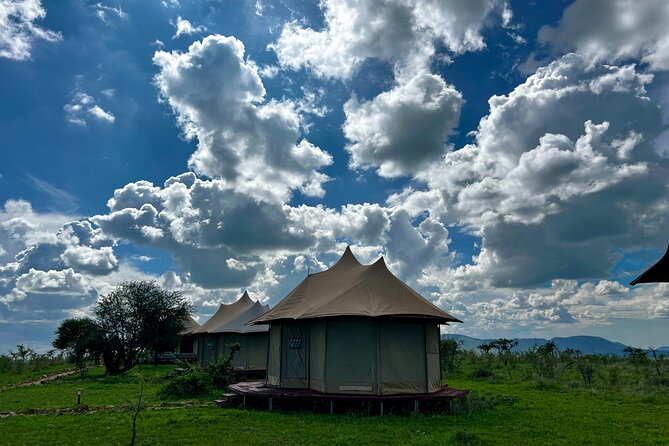 PRIVATE Wildebeest Calving Safari, Tanzania, January to March - Safari Experience Expectations