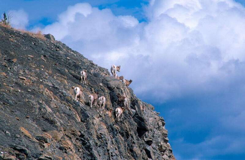 PRIVATE Wilderness and Wildlife Walking Tour - 2.5H - A Final Word