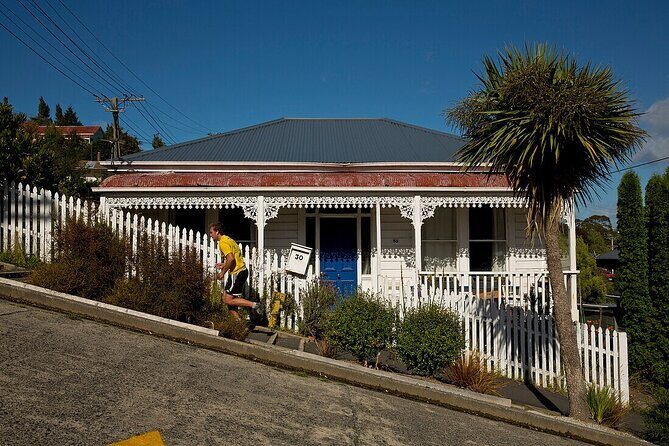 Private Wildlife and Penguin Tour in Dunedin with Ticket - How This Tour Compares