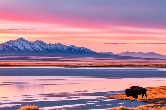 Private Wildlife and Scenic tour on Antelope Island - What’s Included and What to Keep in Mind