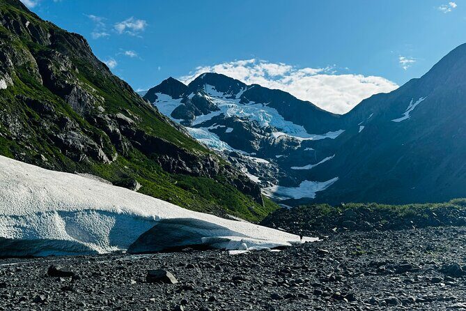 Private Wildlife, Glacier & Gold Panning (Panoramic Van  Max 9) - What Makes This Tour Stand Out