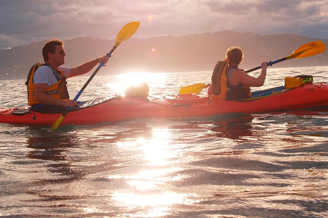 Private Wildlife Kayaking Tour - Kaikoura - Tour Overview