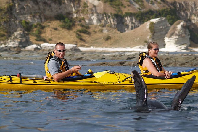 Private Wildlife Kayaking Tour - Kaikoura - Meeting and Pickup Details