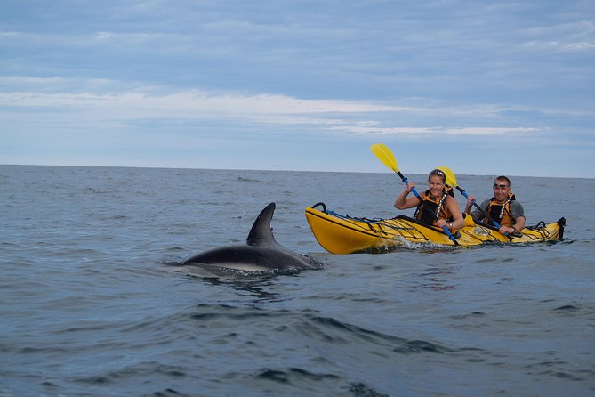 Private Wildlife Kayaking Tour - Kaikoura - Cancellation Policy