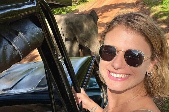 Private Wildlife Safari in Yala National Park Sri Lanka - Exploring the Private Wildlife Safari in Yala National Park, Sri Lanka