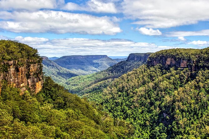 Private Wildlife Waterfalls and Wine Day Tour From Sydney - The Sum Up