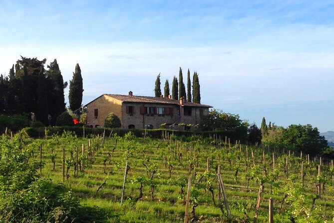 Private Wine and Extra Virgin Olive Oil Tasting - Common Questions