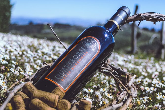 Private Wine and Extra Virgin Olive Oil Tasting - The Sum Up