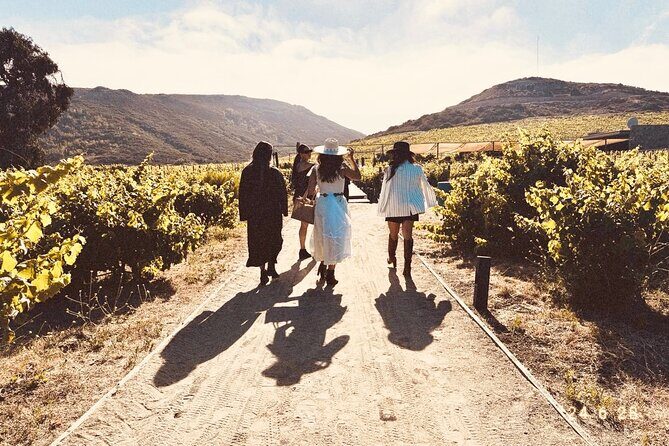 Private Wine and Gastronomic Tour in Valle de Guadalupe - Analyzing the Experience: What You Can Expect