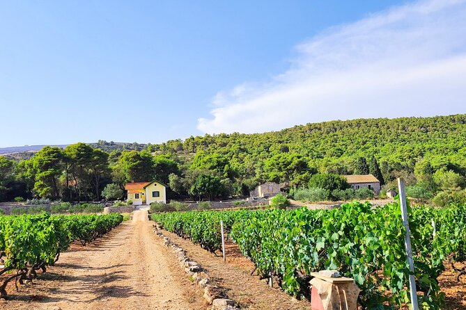 Private Wine and Gin Tour Around the Island of Korcula - Customer Reviews