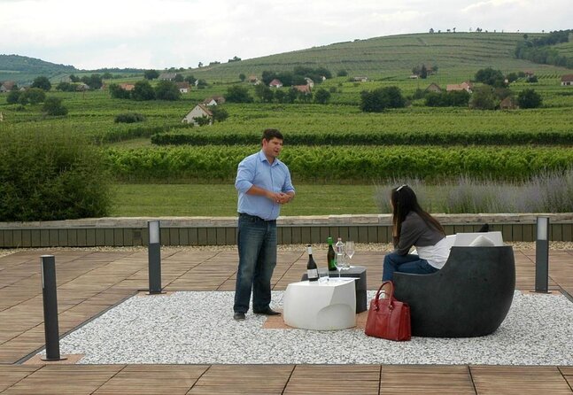 Private Wine and History Tour to Villany and Pecs From Budapest With Winetasting - Good To Know