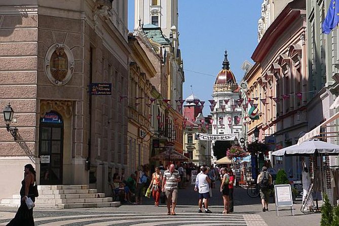 Private Wine and History Tour to Villany and Pecs From Budapest With Winetasting - Additional Information and Accessibility